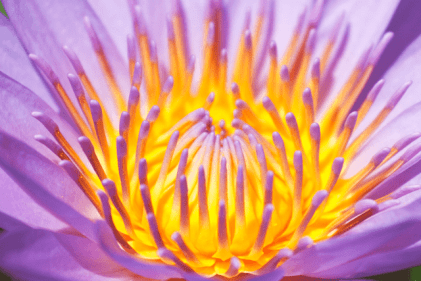 WinterABC2021: 22 Days Blogging Festival